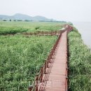 에스와이조경 이미지