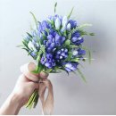 용담Flora