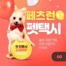 우리고 펫택시 이미지