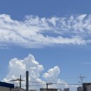 이지행정사사무소 이미지