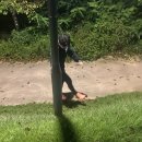 장지천 화장실 이미지