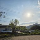 다사수한의원 | 청도 부야한의원 방문 내돈내산
