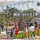 서울화원 이미지