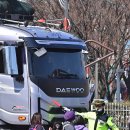 신광초등학교 앞 횡단보도 이미지