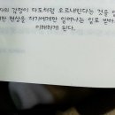 금성서점 이미지