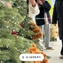 도마2체육관 | 18번째 오뚠뚜니 일기 - 33주에서 34주차까지 임신후기(정기검진,육아용품준비,빨래공장가동)