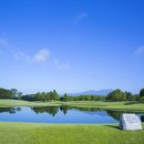 숲속골프 이미지