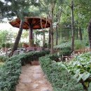 김종성한의원 이미지