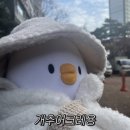 세이수선