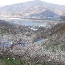 상봉농원