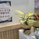 김보영폴리어수학학원