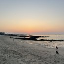 애월별땅 이미지