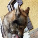 네모박스 이미지