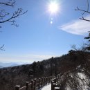 소나무 황토빌 이미지