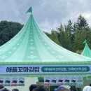 태화초교 | 2025년 김천 김밥축제 후기 장소 주차장 셔틀버스 경유지