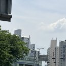 행복한빵쟁이 | 신길역 돌리하우스 두 번째 방문! MSD·USD 인형 의상과 소품 쇼핑 후기