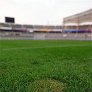 종합운동장 잔디그라운드 이미지