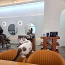 다옴헤어살롱 이미지