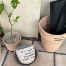 경주여인숙 이미지