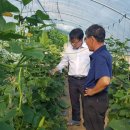 행정농장 이미지