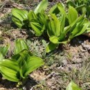 은골농장 이미지