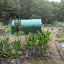 녹산농장 이미지