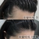 모우헤어 이미지