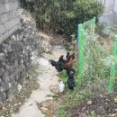 상국농장 이미지