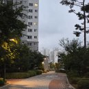 남대문중학교 정문 이미지