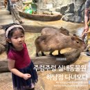 주렁주렁 실내동물원 하남점 다녀오다 (실내동물원 추천, 주말나들이 갈만한곳, 아이와가볼만한곳)