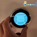 개의온도 이미지