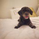 현대여관 이미지