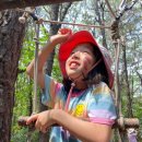 대곡초등학교(병설) | 우리들 자연학교 6월 19일 대곡 초등학교 현장학습 후기