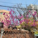 갈현2-010 이미지