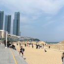 해봄 행정사 사무소 이미지