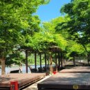 수승대야영장 이미지