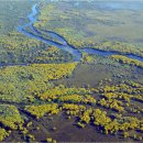 걸작(치코) 이미지