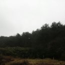 첨단중앙로 이미지