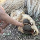 일루와농장 이미지