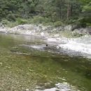 법수치여울목펜션 이미지