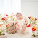 인천 아기 백일 사진관 &lt;와이스튜디오&gt; 플라워 컨셉 촬영 후기