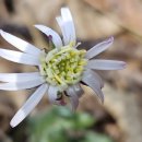 서삼면사무소 이미지