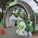 2019 수원연극축제 | 2025년 수원연극축제 생생 후기! 아이와 함께한 주말 나들이