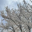 홍산농약 이미지