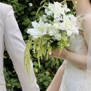 폴린플라워 | 촬영부케 추천 | 폴린플라워 화이트그린 겹백합 줄맨드라미 내추럴 드롭부케