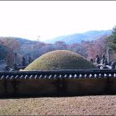 왕의 정원 이미지