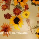 암 환자의 예후나 면역 치료 과정에서 정신신경면역학(PNI)을 활용 효과 이미지