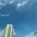 등대부동산공인중개사사무소 이미지