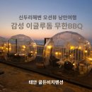 세븐일레븐 태안발전소로드점 | 충남태안 신두리 골든비치펜션 이글루돔 BBQ 후기 오션뷰 감성숙소 추천