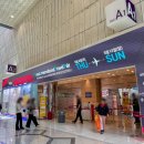 코엑스전시회 이번주 가볼만한 곳, 서울국제관광전(5월 12일까지) 방문후기
